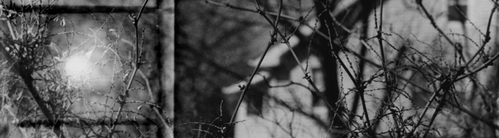 The Portal Next Door