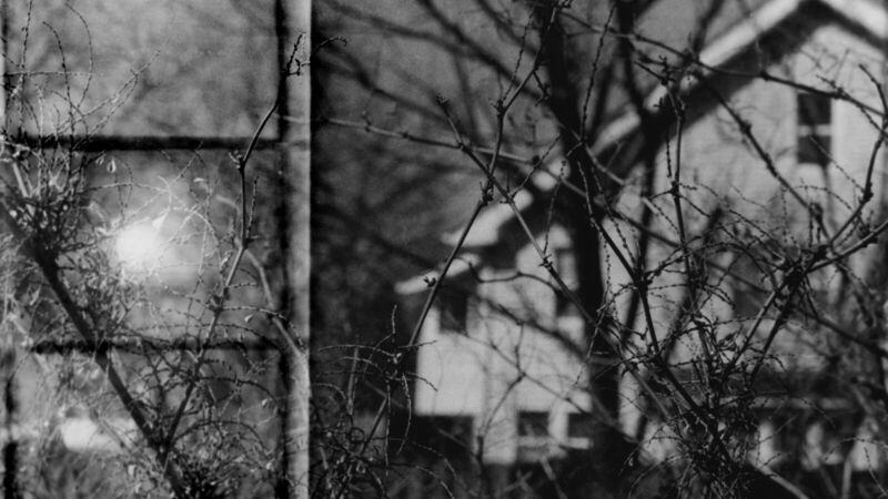 The Portal Next Door