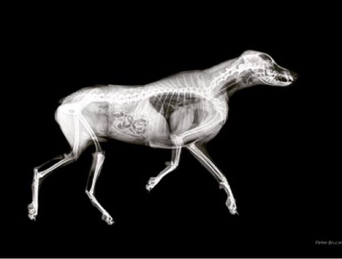 exhibitions/upcoming-exhibitions