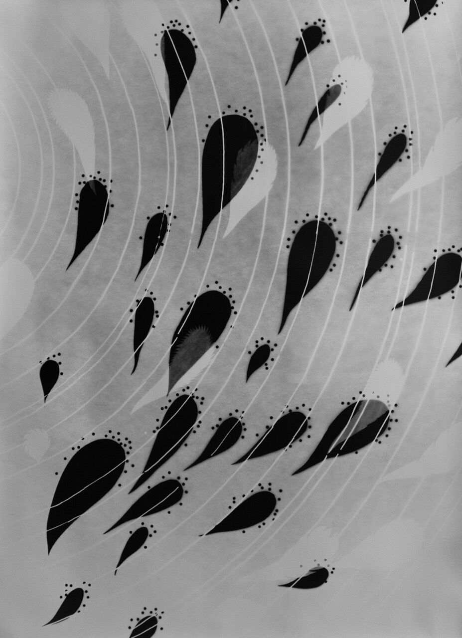 Slowmemory2 58x42large